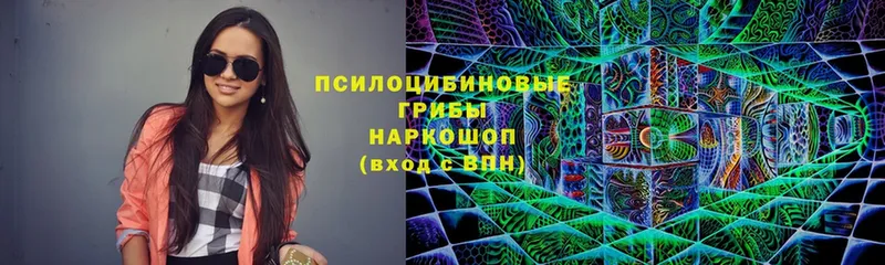 Псилоцибиновые грибы Psilocybe Рыбное